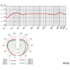 AKG P170 - MICROFONO CARDIOIDE A CONDENSATORE PER STRUMENTI