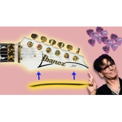 Ibanez Pick Holder - PORTAPLETTRO