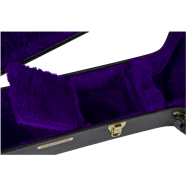 Gretsch G6302 Extra Long Jumbo (12 String) Flat Top Case