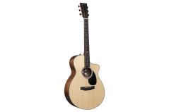 Martin & Co. SC-10E
