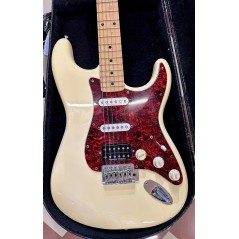 CHITARRA ELETTRICA CUSTOM CON CUSTODIA