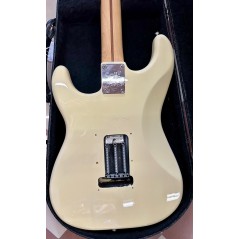CHITARRA ELETTRICA CUSTOM CON CUSTODIA