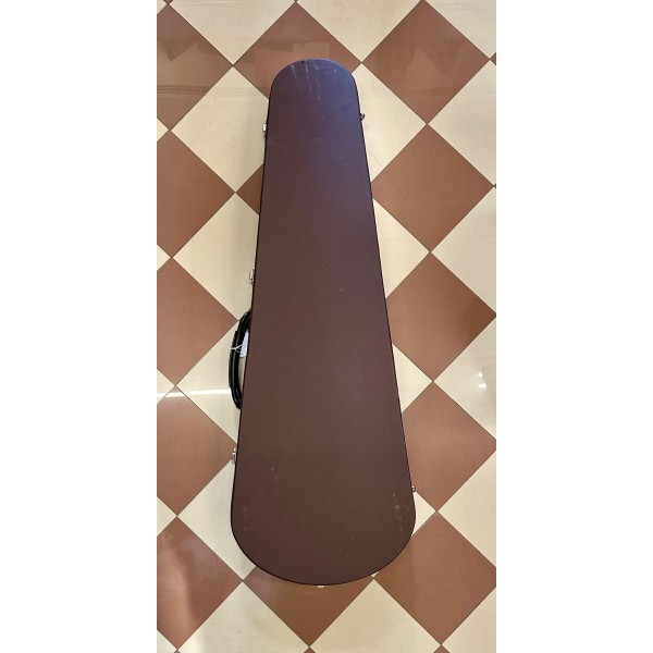 CHITARRA ELETTRICA CUSTOM CON CUSTODIA