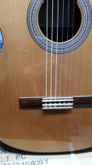 JOSE TORRES JTC-20