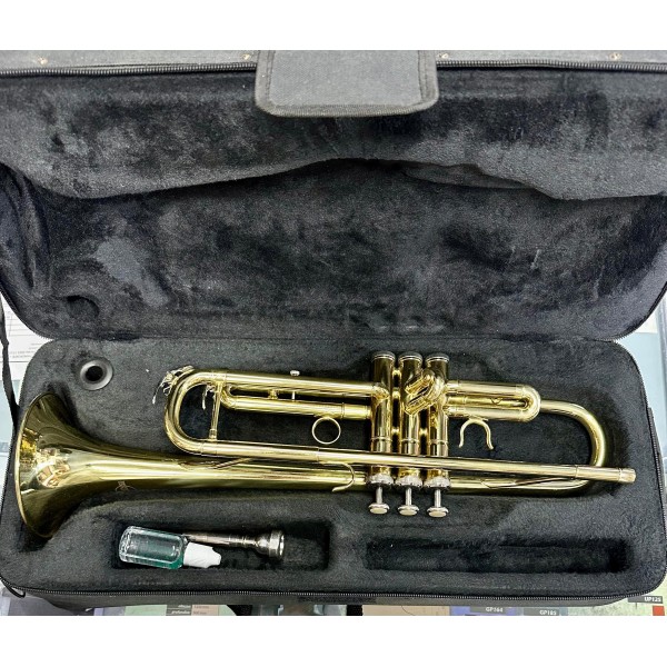 TROMBA EKING CON CUSTODIA
