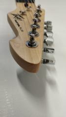 PEAVEY RAPTORÂ® PLUS BLACK