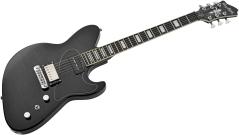 HAGSTROM ADINA DSM