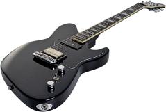 HAGSTROM ADINA DSM