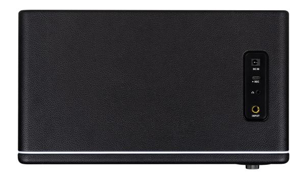 MOOER HORNET 30I BLACK