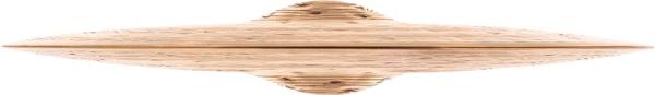 MEINL B16FRH