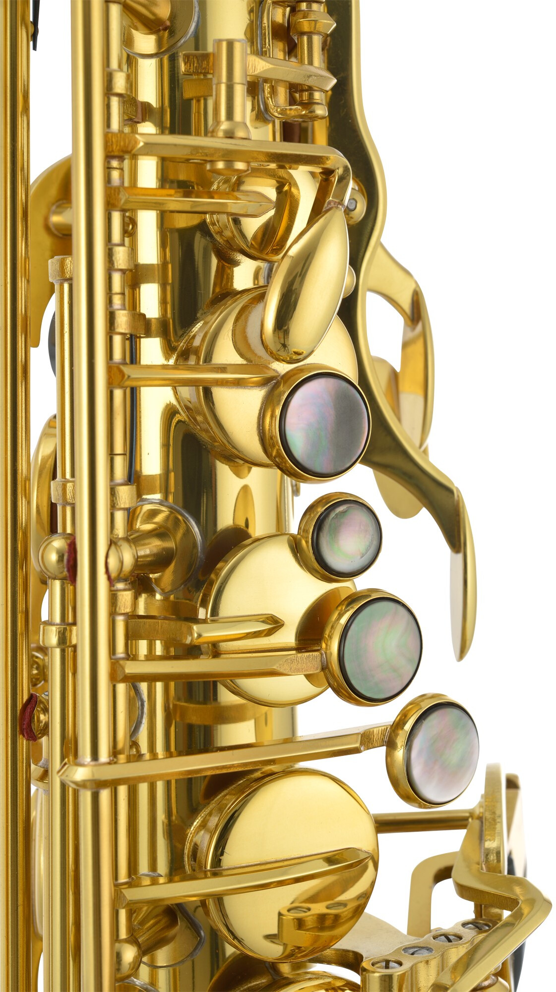 JUPITER ITALIA STELLAR JASSTRQ