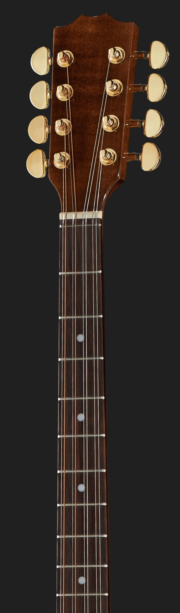 HORA BOUZOUKI CONCERT IRLANDESE + BORSA