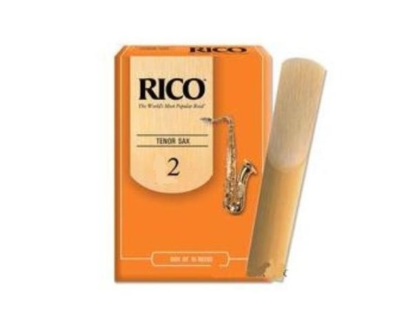 RICO RKA1020 SAX TENORE 2 ANCE