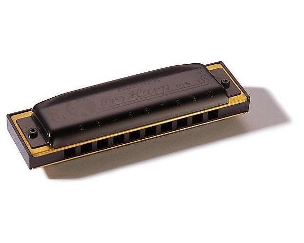 HOHNER M564106 PRO HARP MS 20 A LA