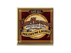 ERNIE BALL ERNIEBALL EARTHWOOD 2003 MUTA PER CHITARRA ACUSTICA T80-20 BRONZE MEDIUM LIGHT