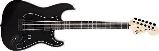 Fender JIM ROOT Stratocaster EB Flat Black
