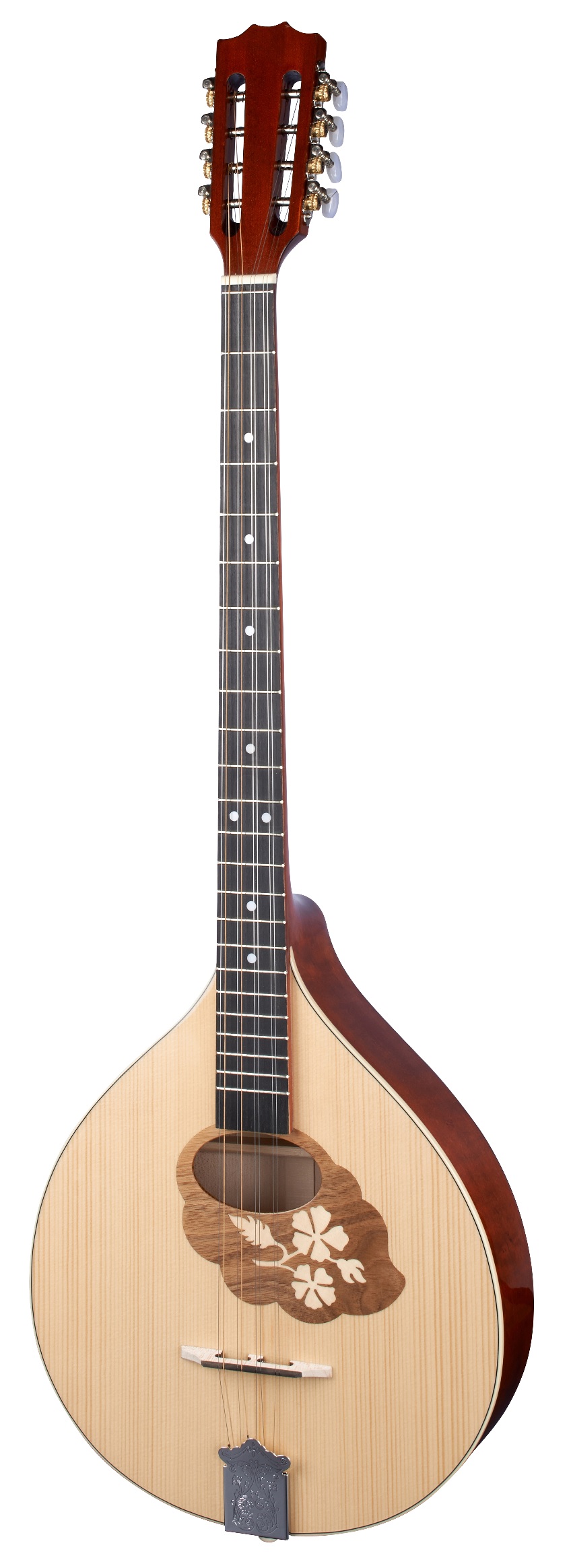 HORA BOUZOUKI IRLANDESE MADE IN EUROPE 66CM TOP TAVOLA ABETE MASSELLO FONDO FASCE MANICO ACERO ROSETTA FLOWER CON BORSA