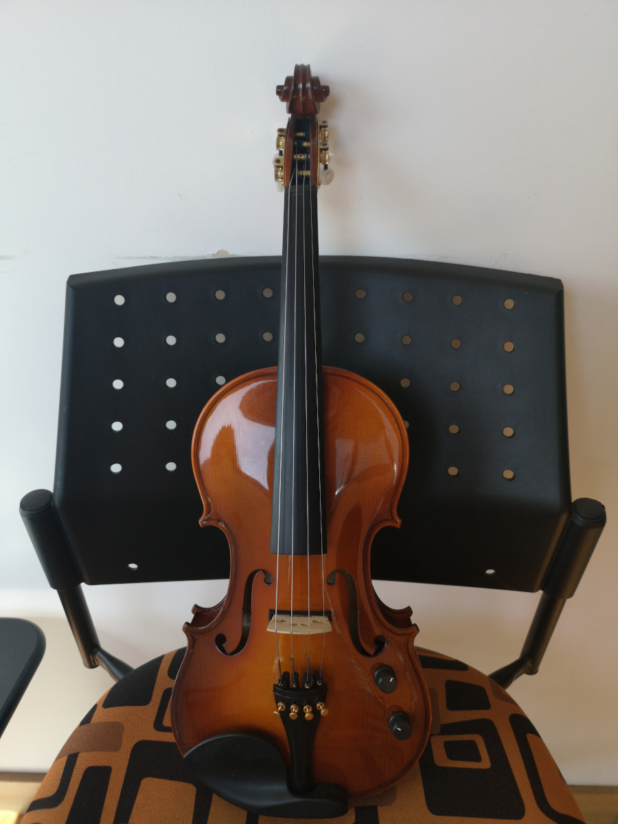 HORA VIOLINO ELETTRICO 4-4 MADE IN EUROPE TOP ABETE MASSELLO ELETTRIFICATO PIOLI TASTIERA MENTONIERA ACERO + CASE + ARCHETTO USA