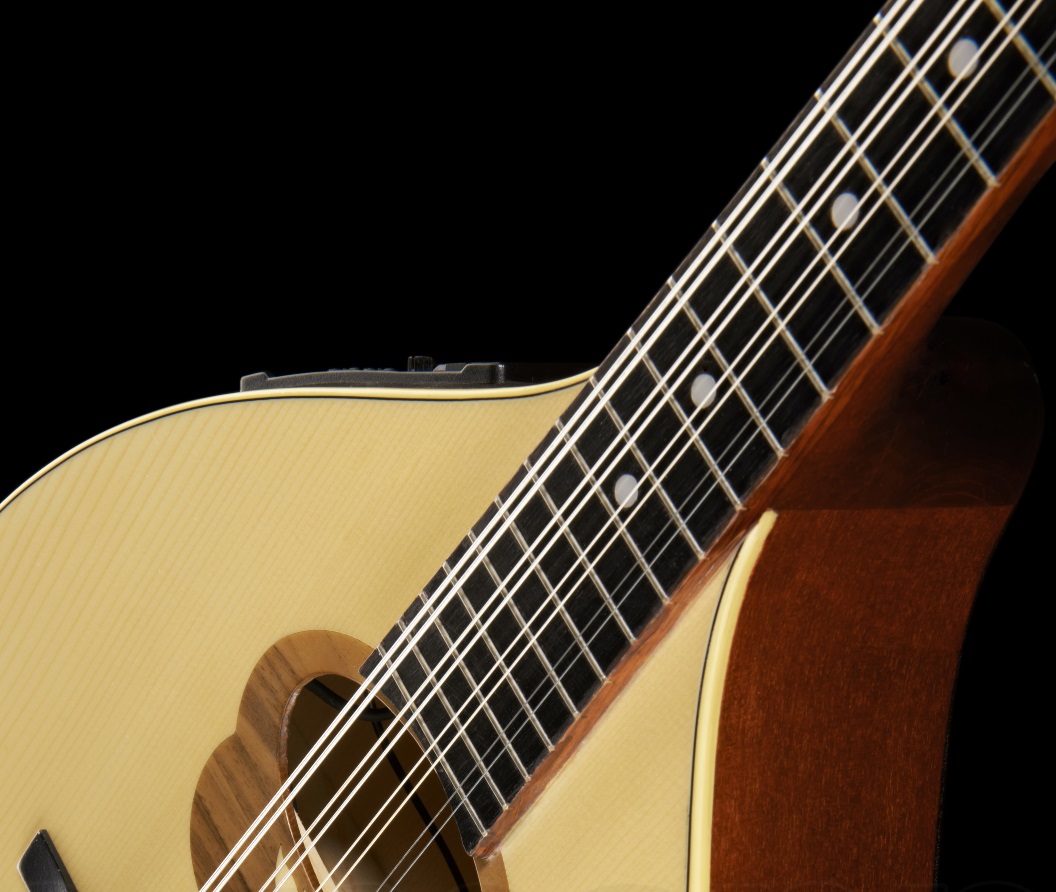 HORA MANDOLA CONTRALTO IRLANDESE RGII-P MADE IN EUROPE ( MANDOLINO ) FISHMAN PRESYS 101 TOP ABETE MASSELLO FONDO ACERO MASSELLO 