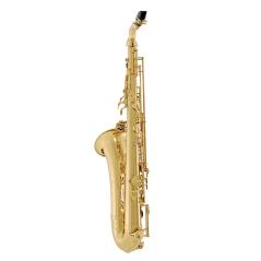 YANAGISAWA T-WO1 SASSOFONO TENORE LACCATO CON CUSTODIA