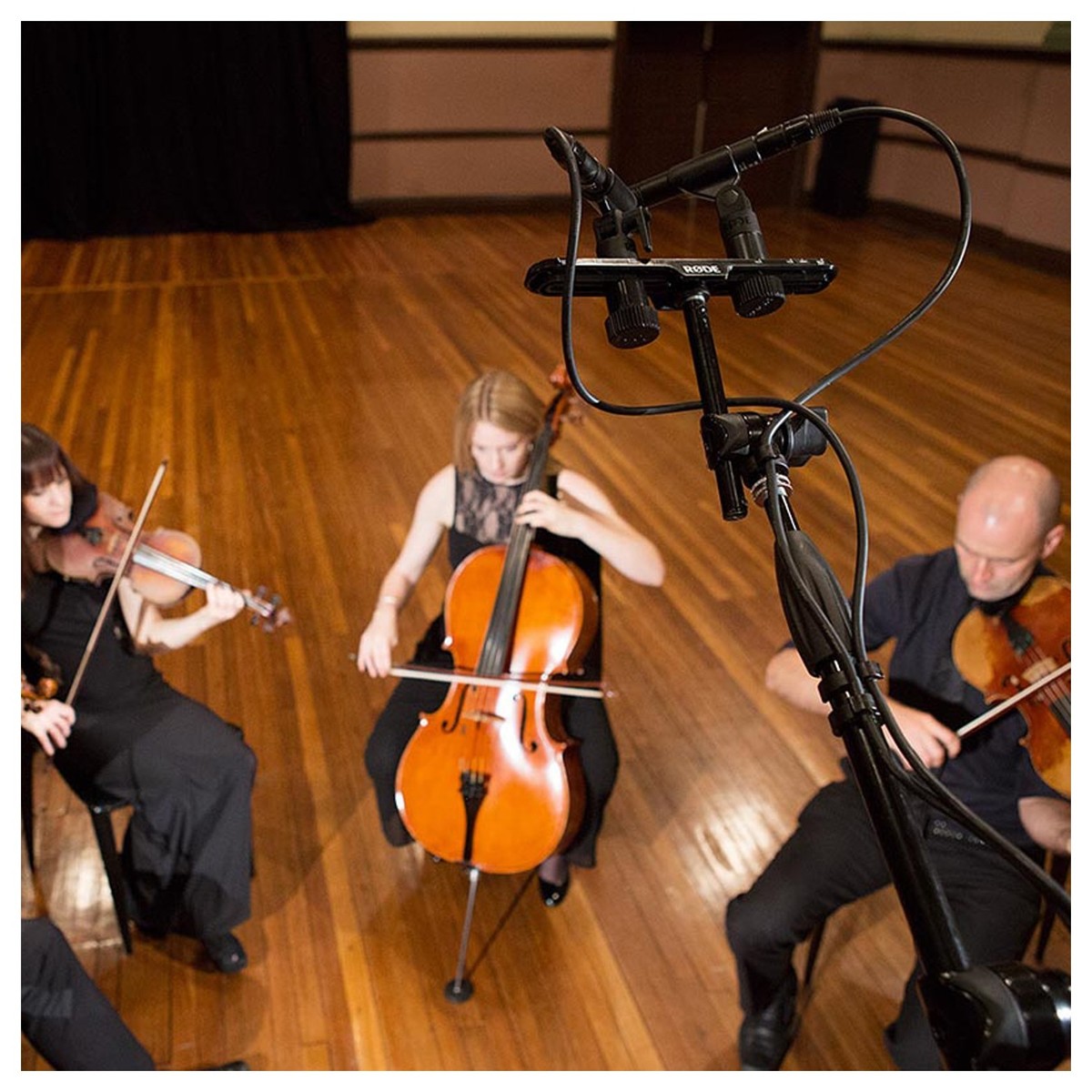 RODE M5 MATCHED PAIR COPPIA MICROFONI A CONDENSATORE CARDIOIDI 1-2"