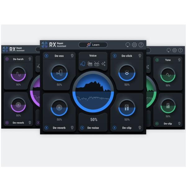 IZOTOPE RX 10 ELEMENTS AUDIO RESTORATION SOFTWARE ( VERSIONE DOWNLOAD )