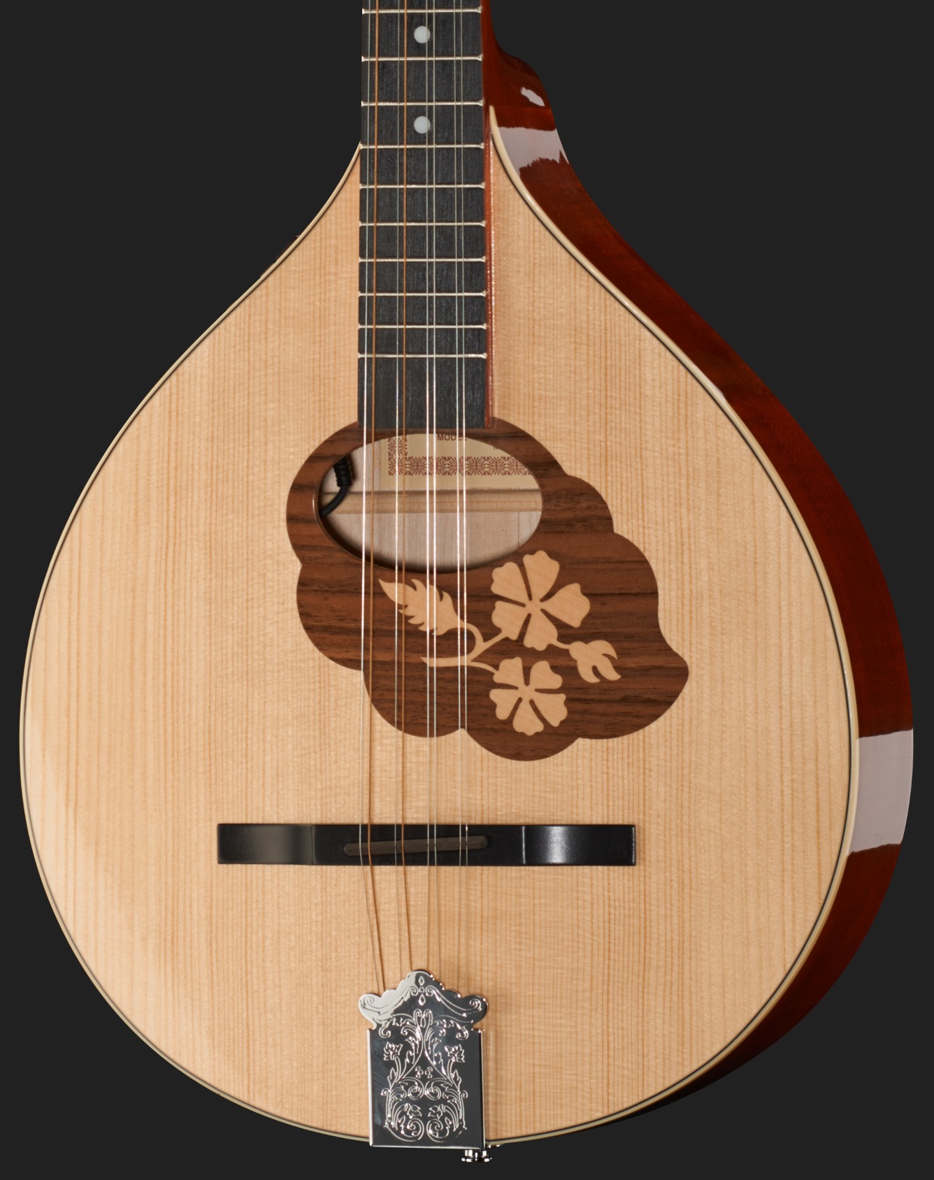 HORA BOUZOUKI IRLANDESE AMPLIFICATO FISHMAN PRESYS-101 66CM TOP ABETE MASSELLO FONDO FASCE E MANICO ACERO CON BORSA