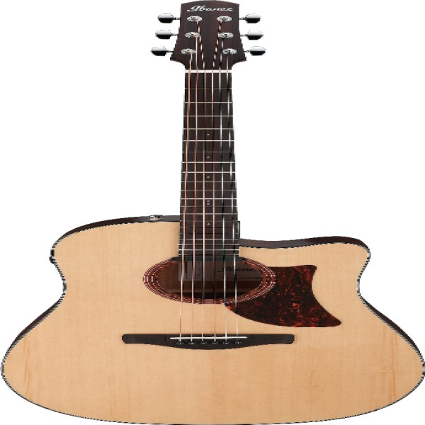 Ibanez AAD170CELGS IBA EL AC GTR