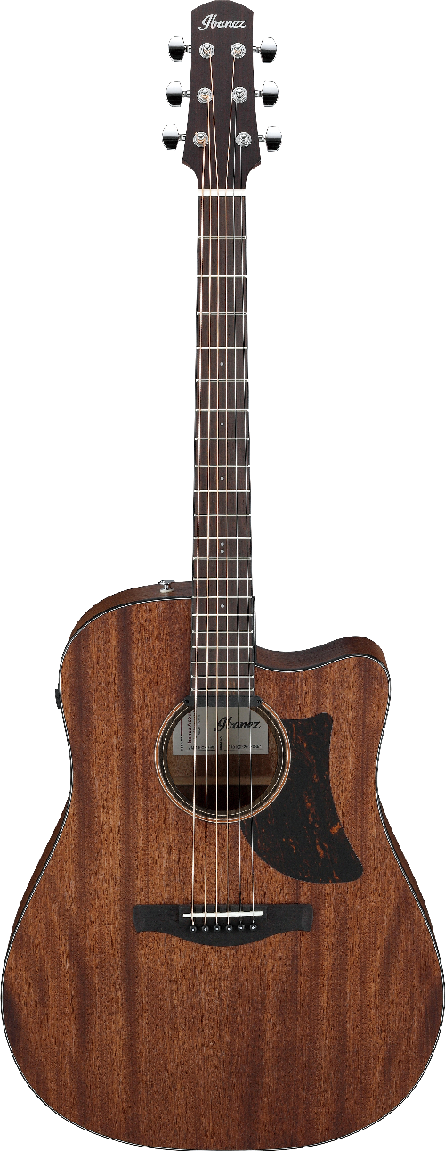 Ibanez AAD190CEOPN IBA EL AC GTR