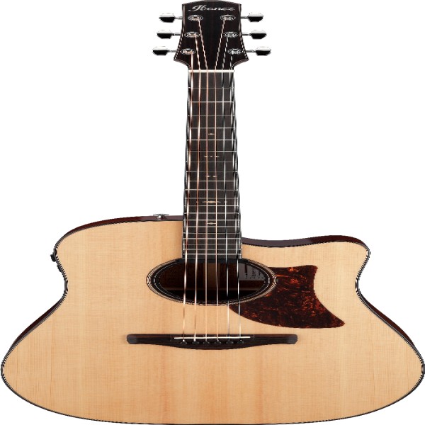 Ibanez AAD400CELGS IBA EL AC GTR W/CASE