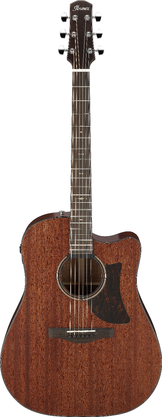 Ibanez AAD440CELGS IBA EL AC GTR W/CASE