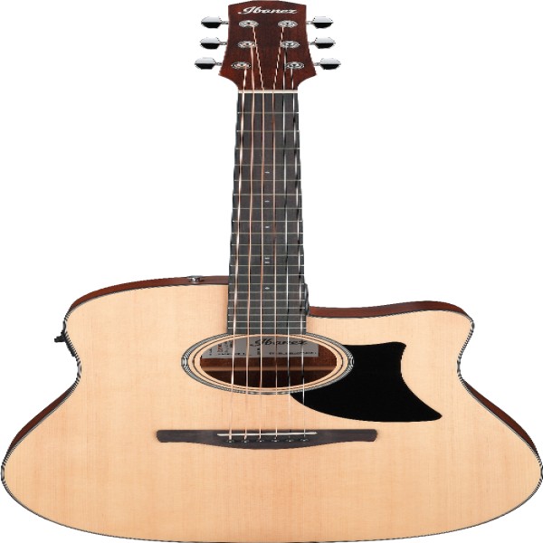 Ibanez AAD50CELG IBA EL AC GTR