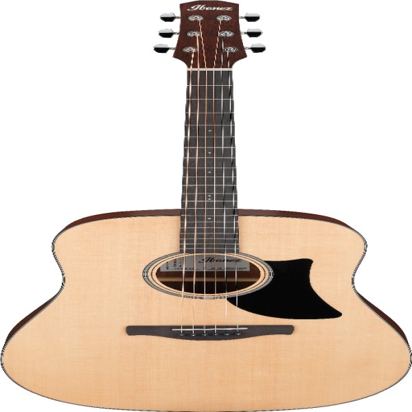Ibanez AAD50LG IBA AC GTR