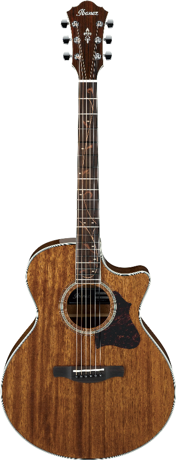 Ibanez AE245NT IBA EL AC GTR