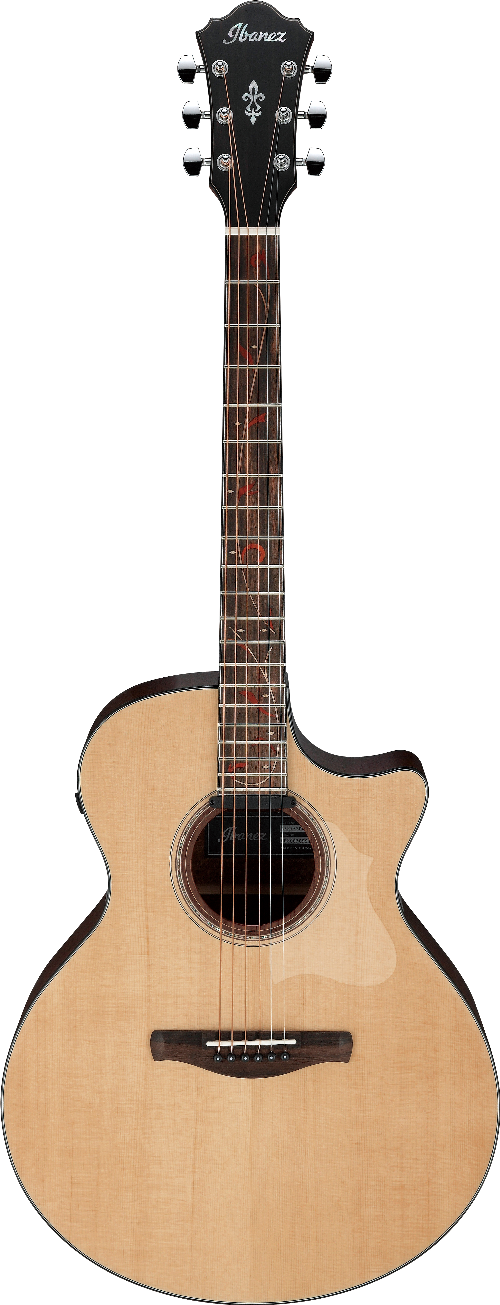 Ibanez AE275SPMNT IBA EL AC GTR
