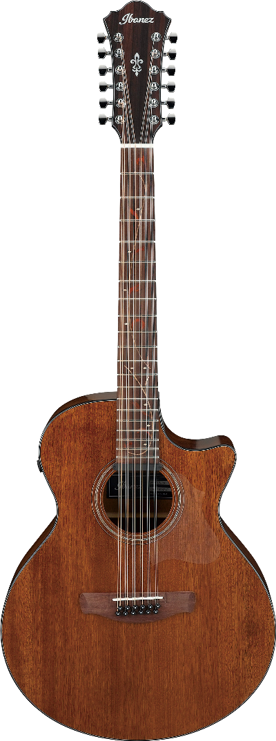 Ibanez AE2912LGS IBA EL AC GTR 12ST