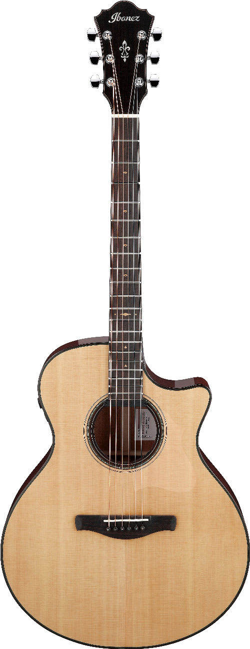 Ibanez AE410LGS IBA EL AC GTR W/CASE