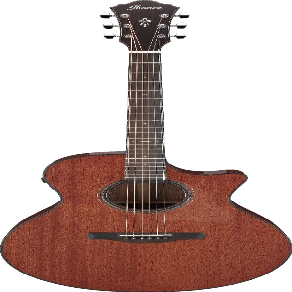 Ibanez AE440LGS IBA EL AC GTR W/CASE