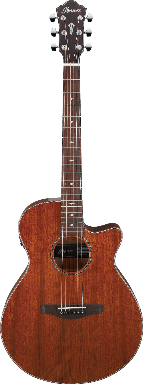 Ibanez AEG220LGS IBA EL AC GTR