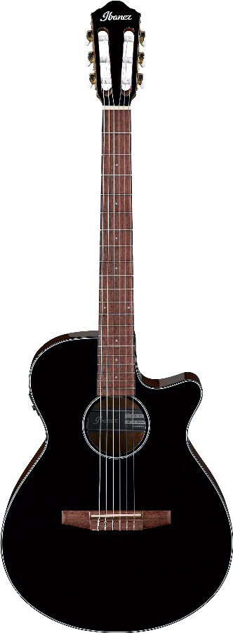 Ibanez AEG50NBKH IBA EL AC GTR