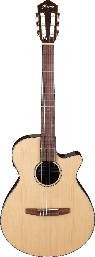 Ibanez AEG50NNT IBA EL AC GTR