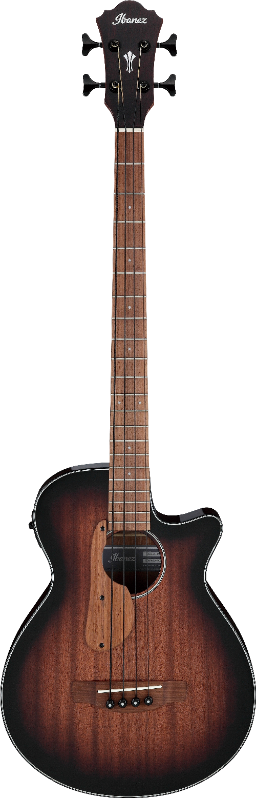 Ibanez AEGB24EMHS IBA EL AC BASS GTR