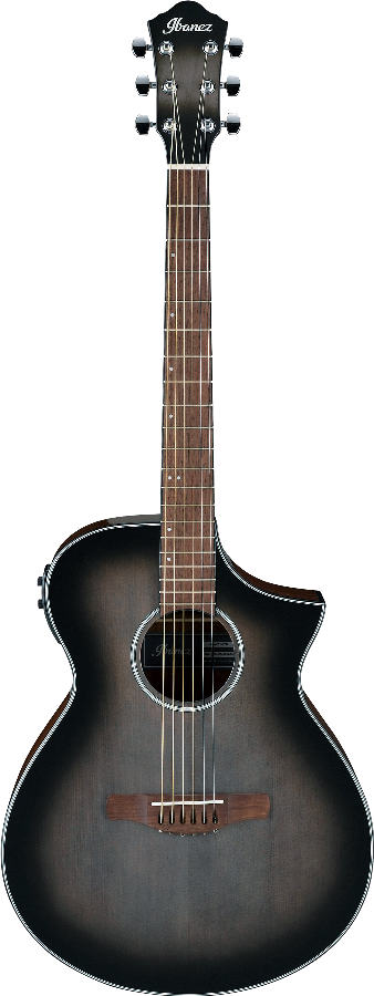 Ibanez AEWC11TCB IBA EL AC GTR