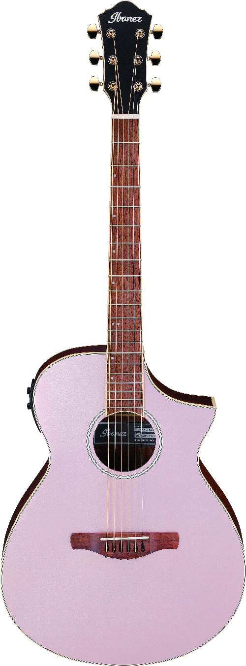 Ibanez AEWC12RGF IBA EL AC GTR
