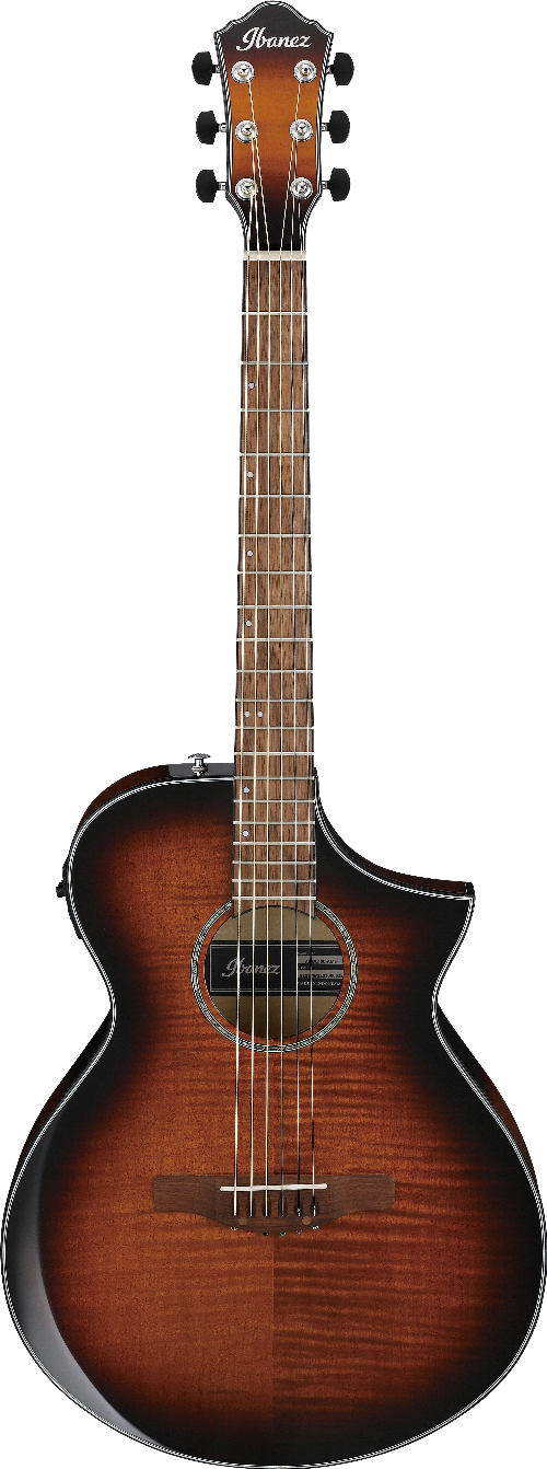Ibanez AEWC400AMS IBA EL AC GTR