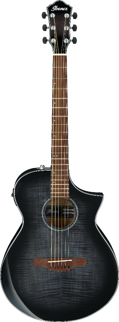 Ibanez AEWC400TKS IBA EL AC GTR