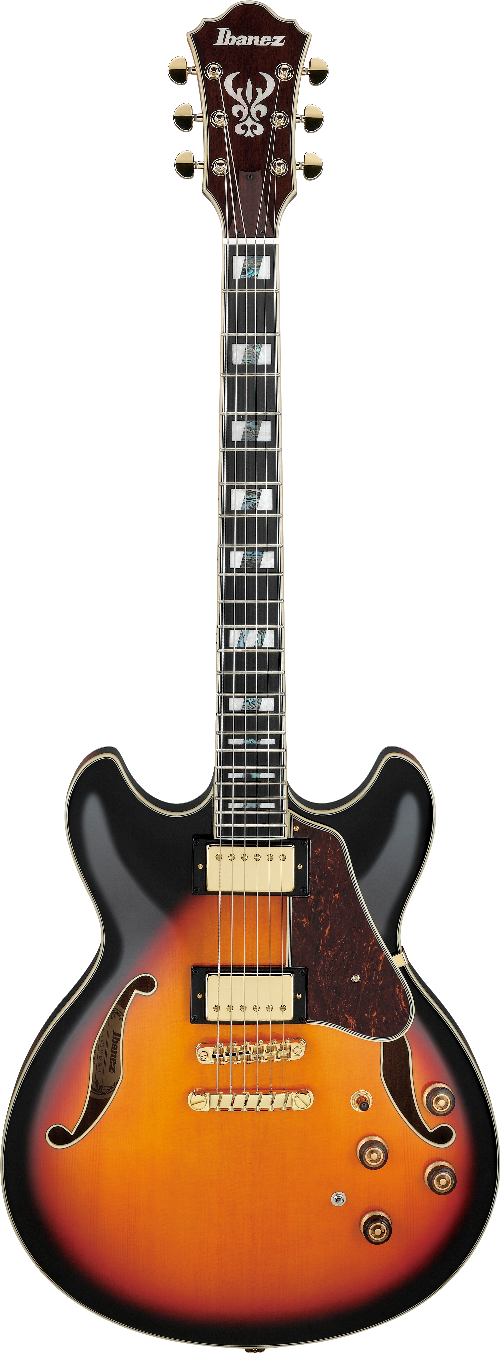 Ibanez AS113BS IBA EL HOLLOW BODY GTR W/CASE