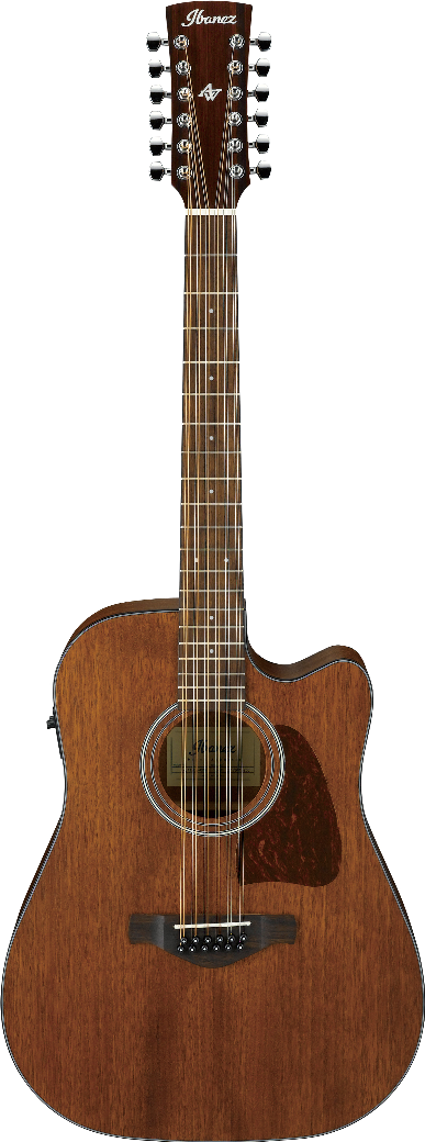 Ibanez AW5412CEOPN IBA EL AC GTR 12ST