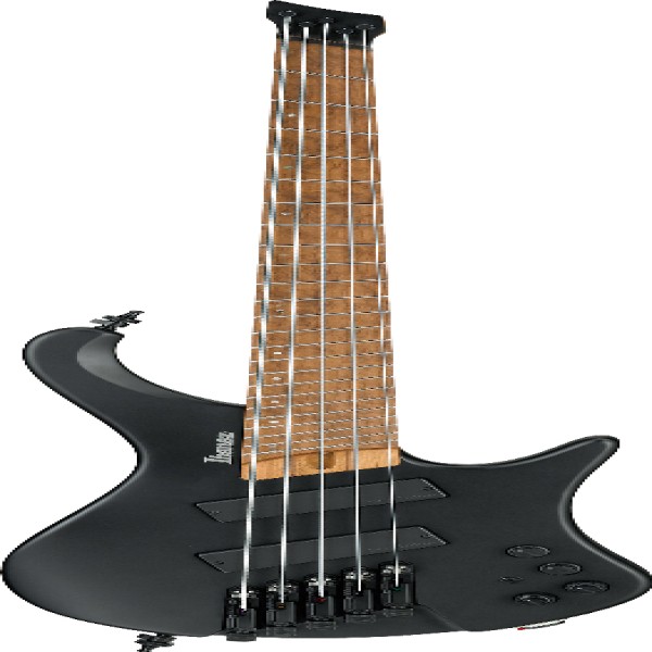 Ibanez EHB1005MSBKF IBA EL BASS W/BAG 5ST