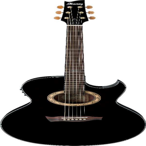 Ibanez EP5BP IBA EL AC GTR S.VAI